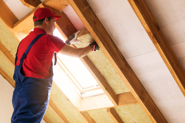 Types of Insulation We Offer in Vassar, MI